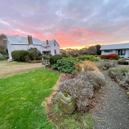 Robin Hoods Well Farm Stay Sassafras Екстер'єр фото