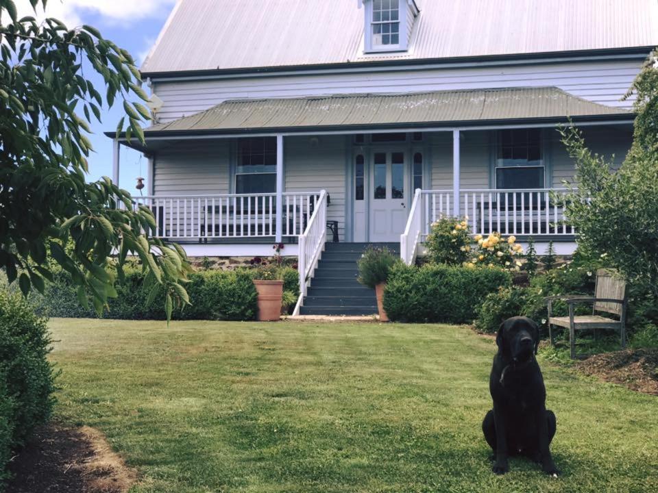 Robin Hoods Well Farm Stay Sassafras Екстер'єр фото