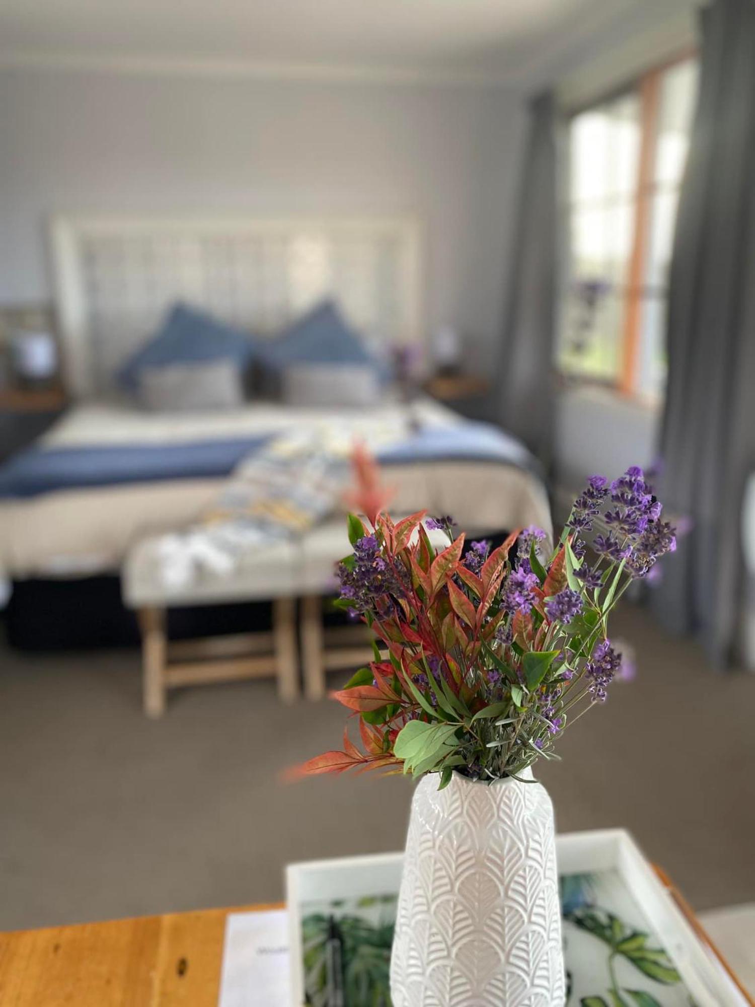 Robin Hoods Well Farm Stay Sassafras Екстер'єр фото